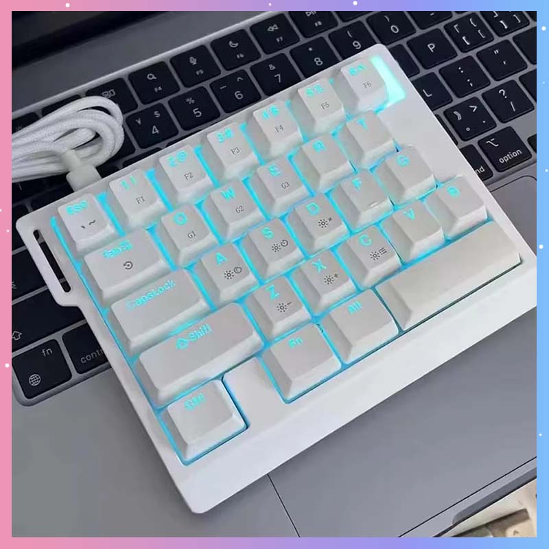 Gaming Keyboard Magnetic Switches - คีย์บอร์ดเกมมิ่งแบบกลไก HE30 29 ปุ่ม สวิตช์แม่เหล็ก 8000HZ