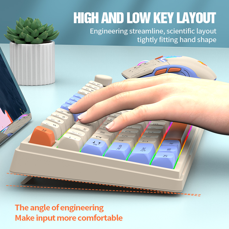 คีย์บอร์ดและเมาส์แบบคู่พรีเมีย - Gaming Keyboard Extension บทวิจารณ์และราคา